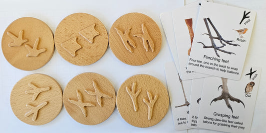 Bird footprints with cards kinderhuis