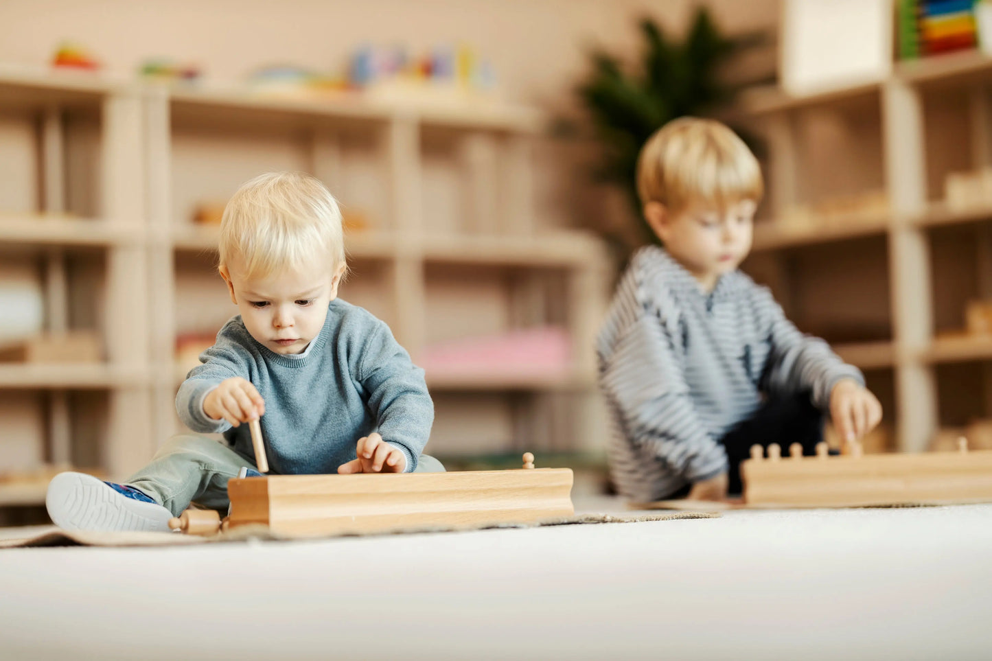 Knobbed Cylinder Blocks Beechwood Four Sets kinderhuis