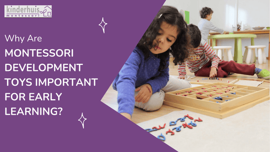 Why-Are-Montessori-Development-Toys-Important-for-Early-Learning kinderhuis