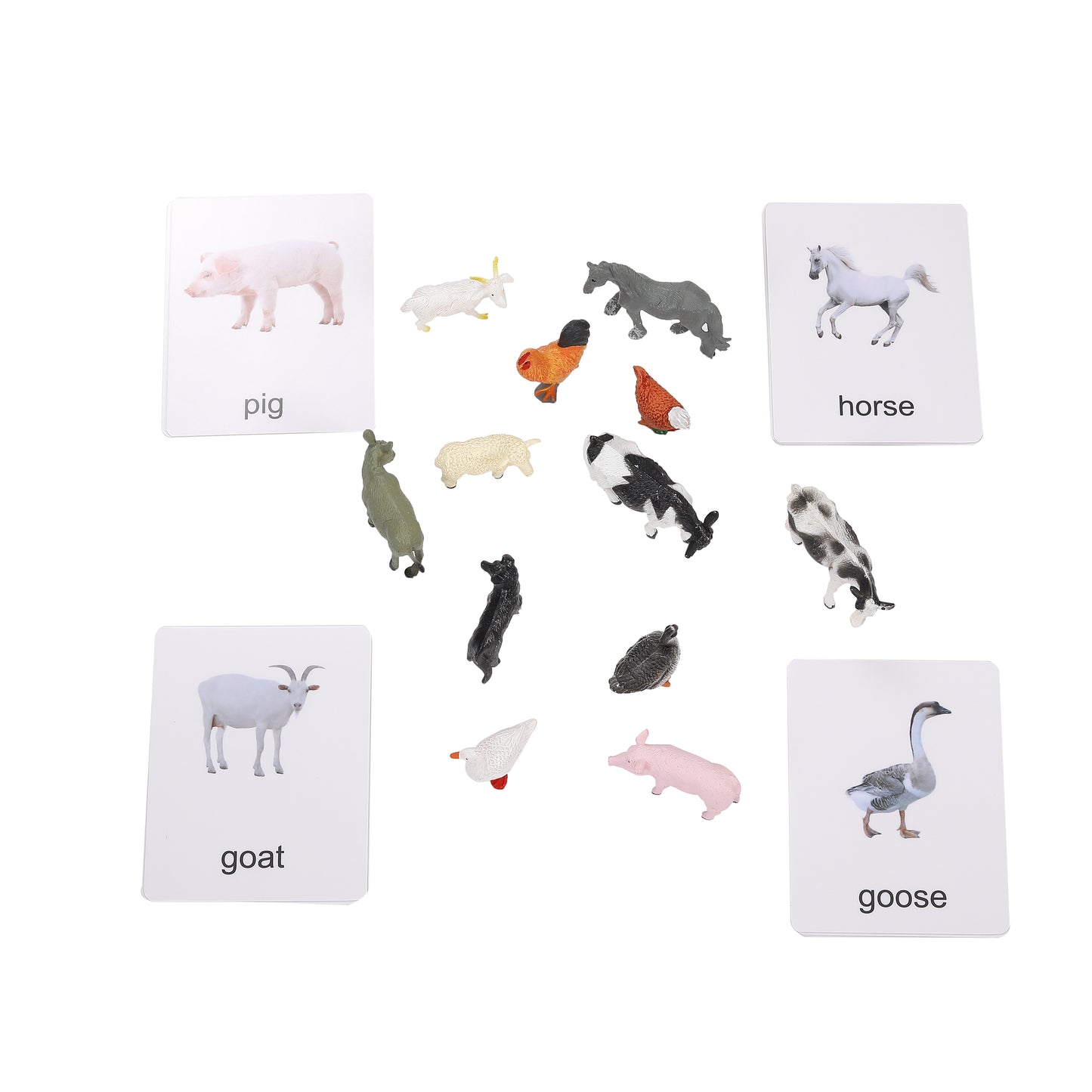 Poultry Animals with Cards