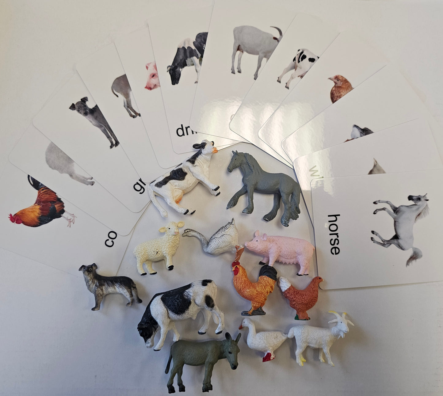 12 mini Poultry Animals with Cards kinderhuis