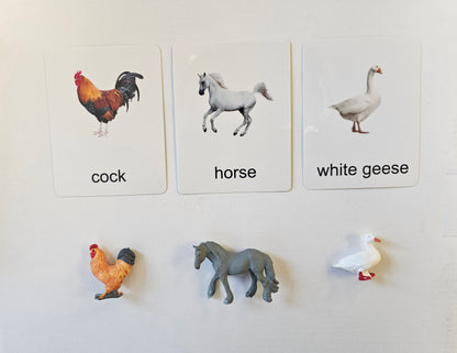 12 mini Poultry Animals with Cards kinderhuis