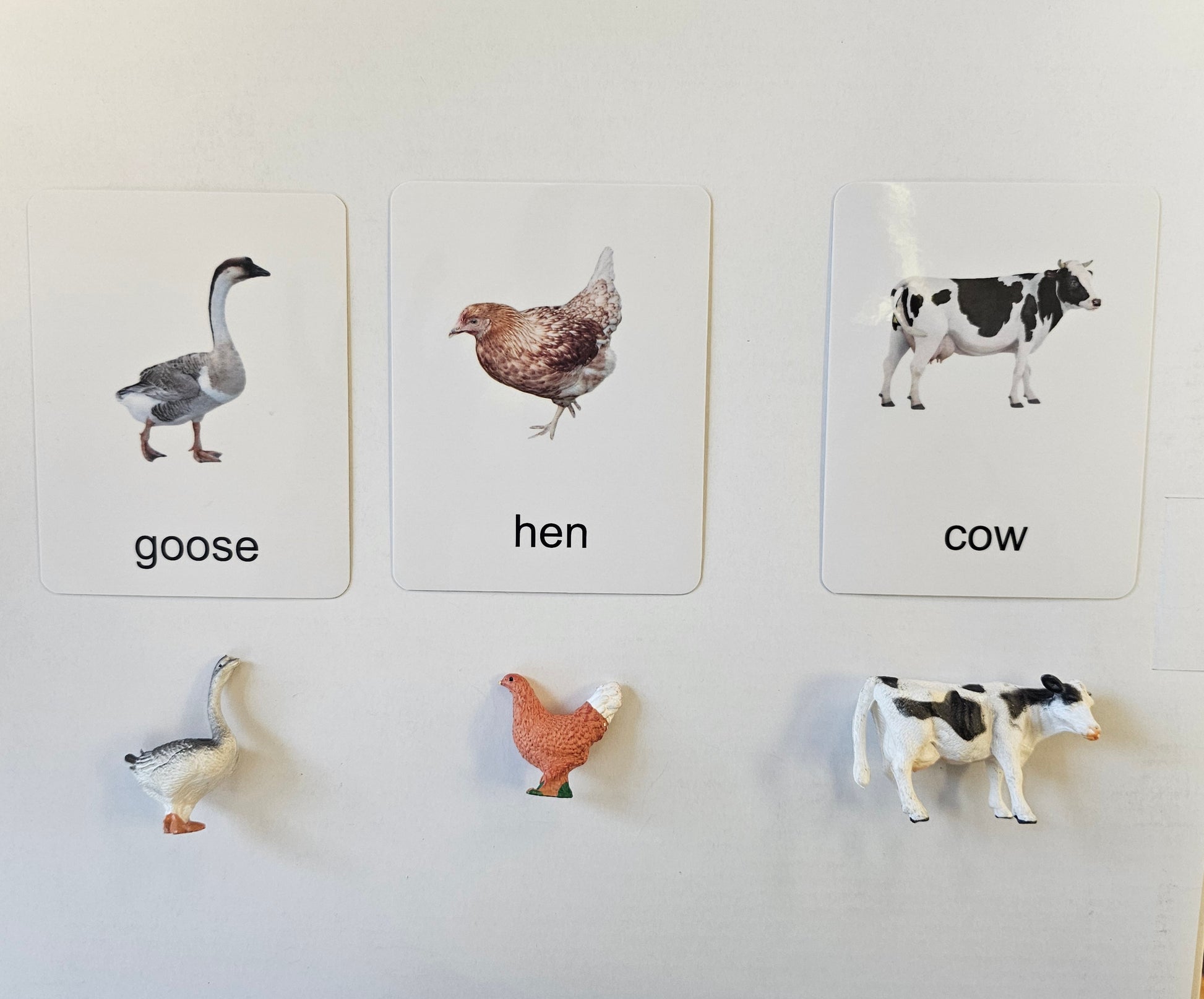 12 mini Poultry Animals with Cards kinderhuis