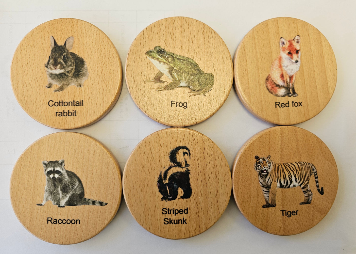 Wooden Animal Footprints Toy Set kinderhuis