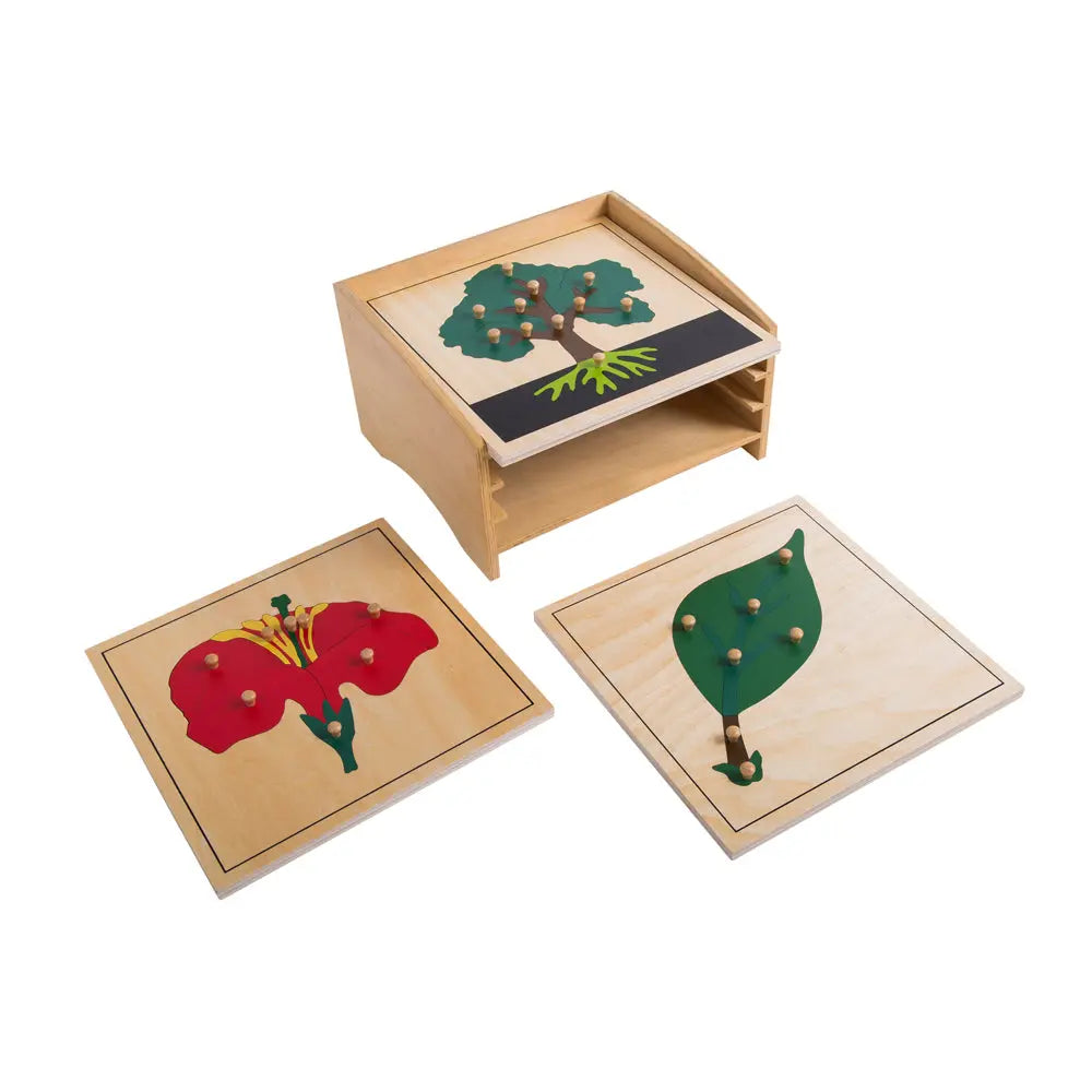 Botany Cabinet with 3 Puzzles kinderhuis