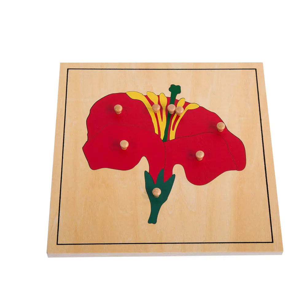 Botany Cabinet with 3 Puzzles kinderhuis