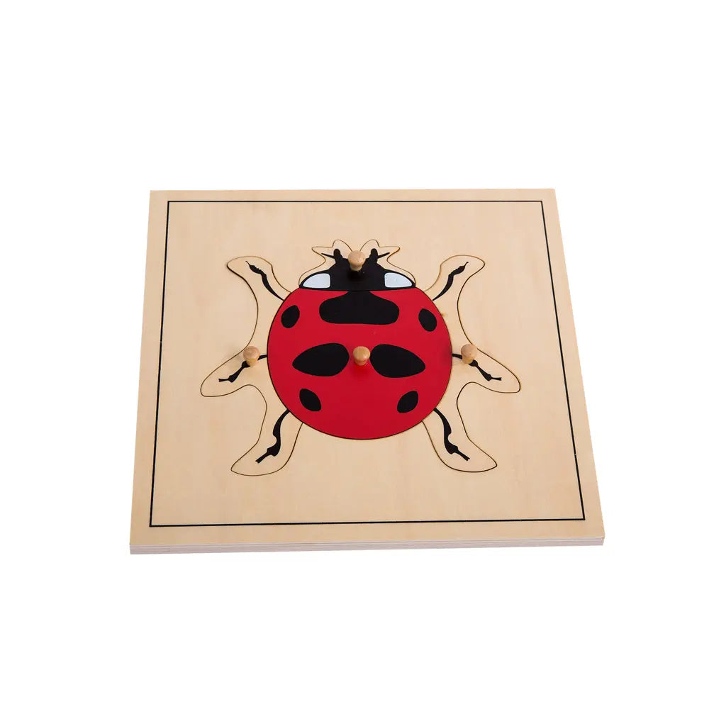 Insect Puzzle Cabinet with five puzzles kinderhuis